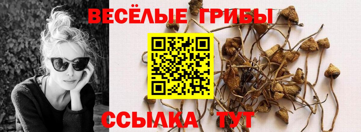 Галлюциногенные грибы ЛСД Борзя